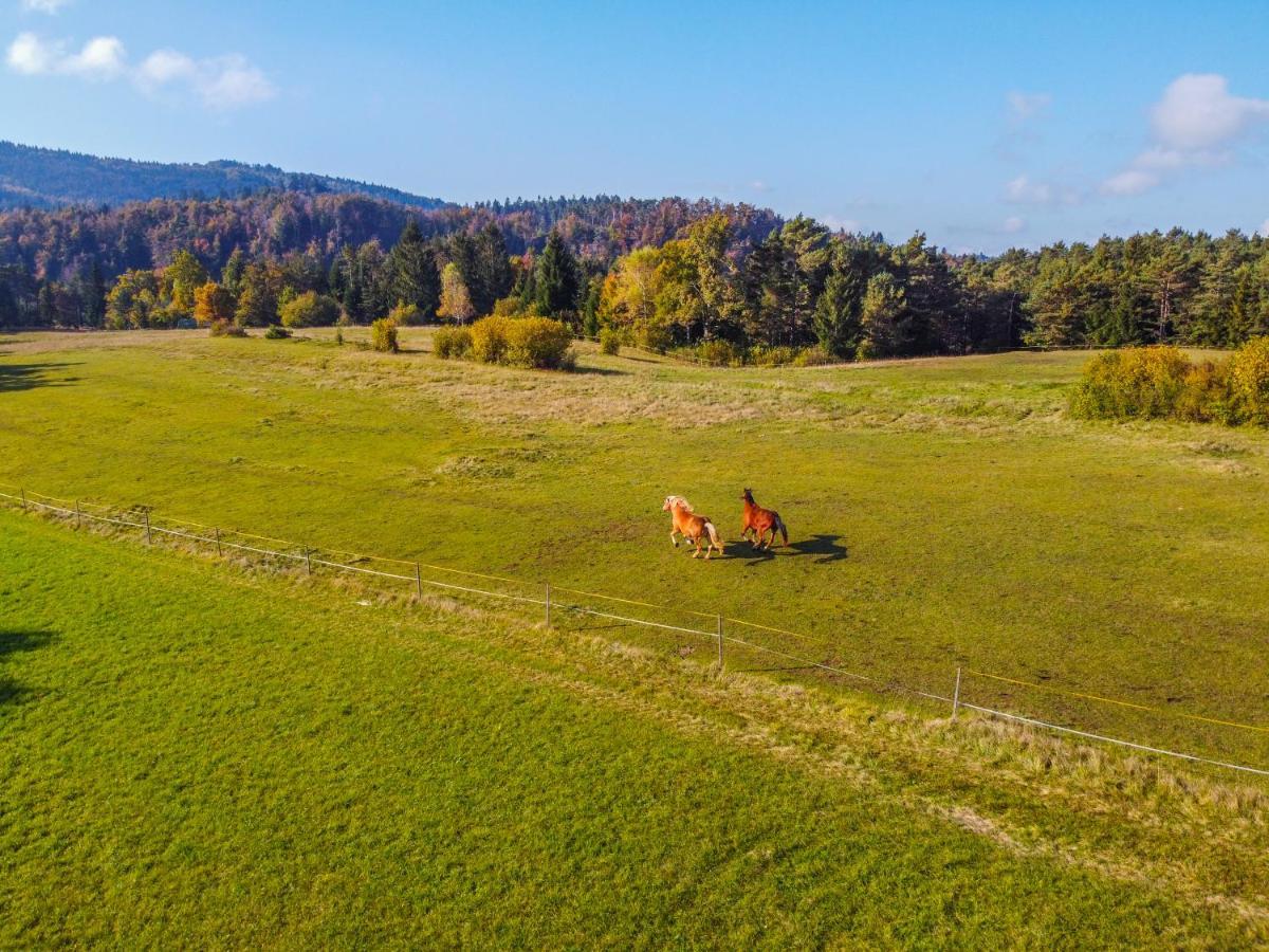 Notranjska Hisa - Traditional Country House, Close To The World Attraction Cerknica Lake Begunje pri Cerknici ภายนอก รูปภาพ