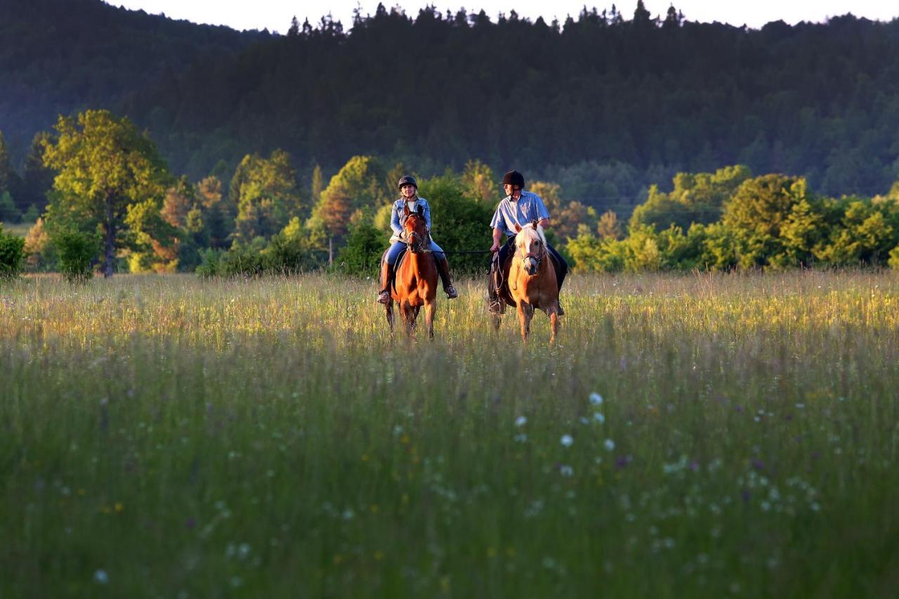 Notranjska Hisa - Traditional Country House, Close To The World Attraction Cerknica Lake Begunje pri Cerknici ภายนอก รูปภาพ