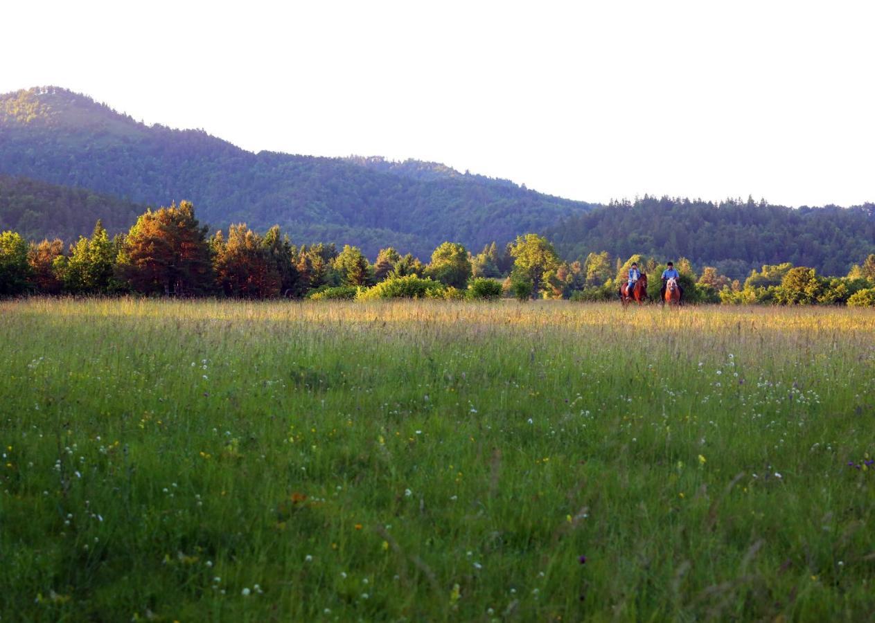 Notranjska Hisa - Traditional Country House, Close To The World Attraction Cerknica Lake Begunje pri Cerknici ภายนอก รูปภาพ