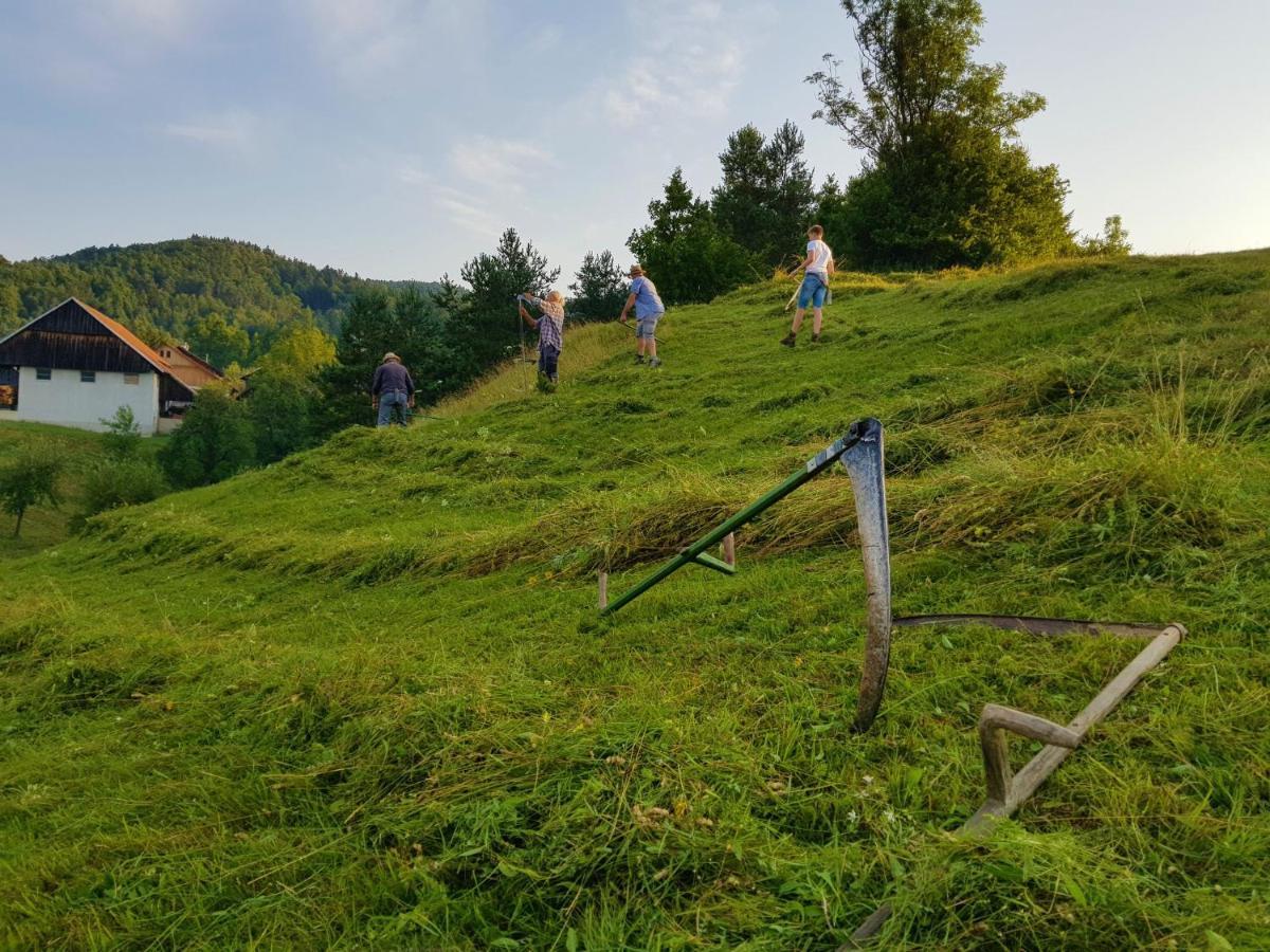 Notranjska Hisa - Traditional Country House, Close To The World Attraction Cerknica Lake Begunje pri Cerknici ภายนอก รูปภาพ